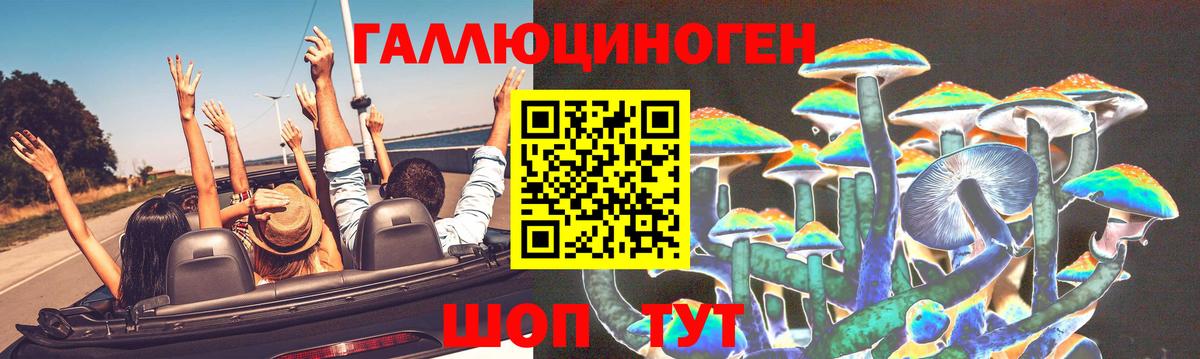 Галлюциногенные грибы Psilocybe  Вход с VPN  Междуреченск 
